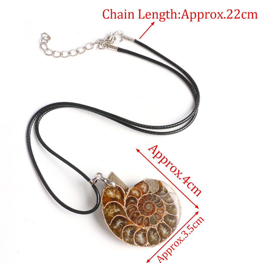 100% Natural Polished Ammonite Fossil Pendant Leather Choker Conch Necklace