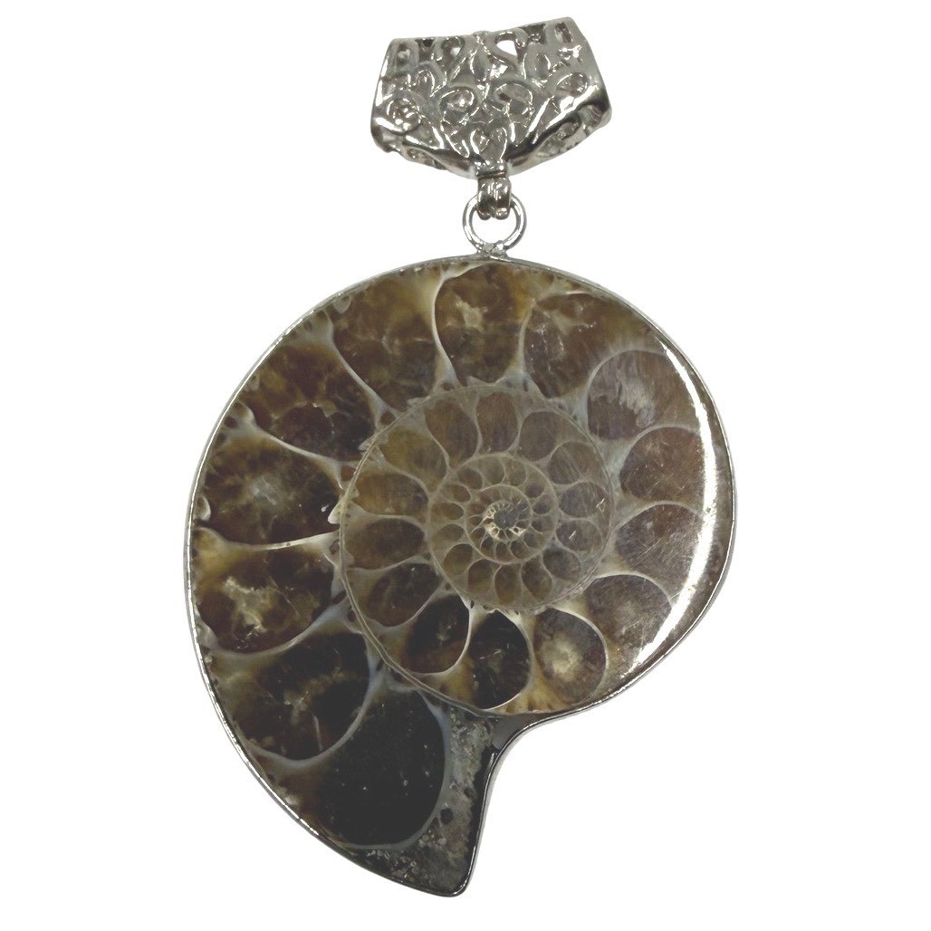Natural Ammonite Fossil Pendant