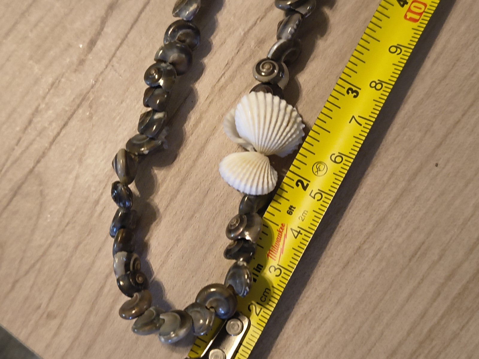Seashell Long Necklace Great For Summer Fashion Or Anytime You Miss Summer Beach