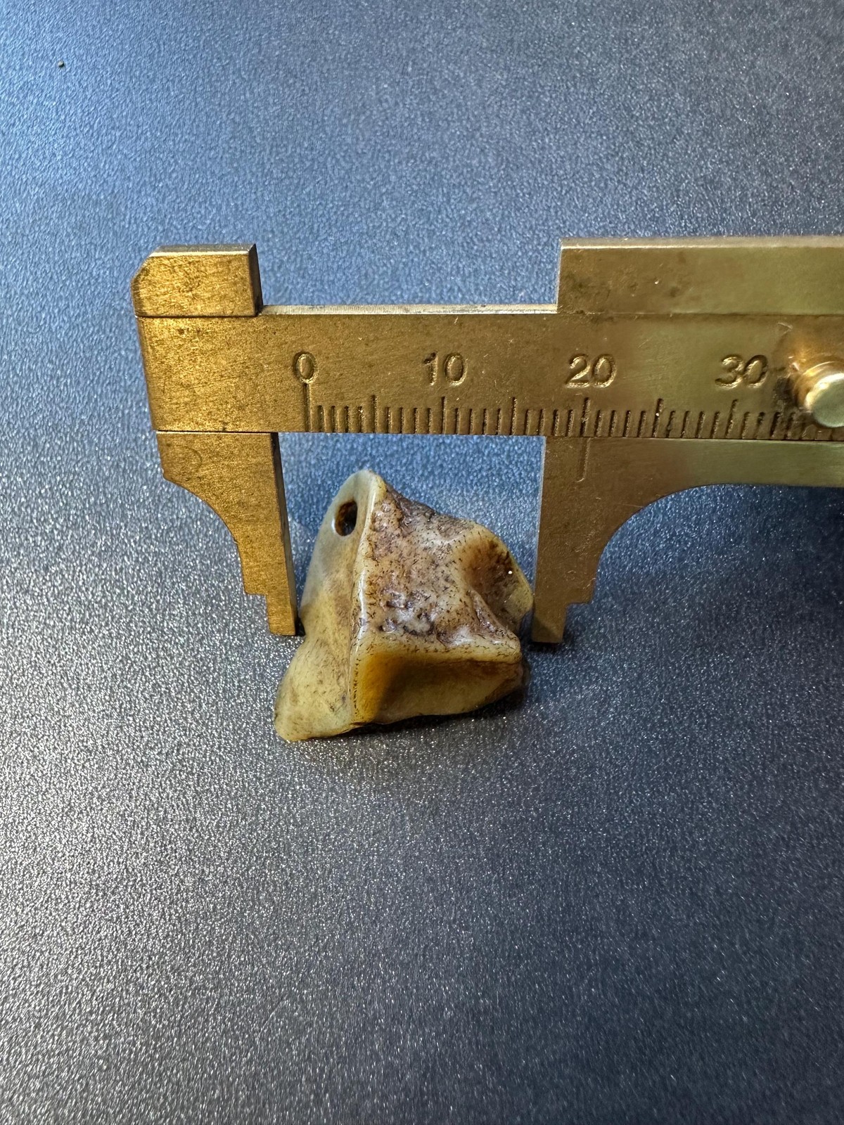 Nepal Himalayan Yak Bone Skull Talisman | Tibetan Buddhist Kapala Pendant | Sac