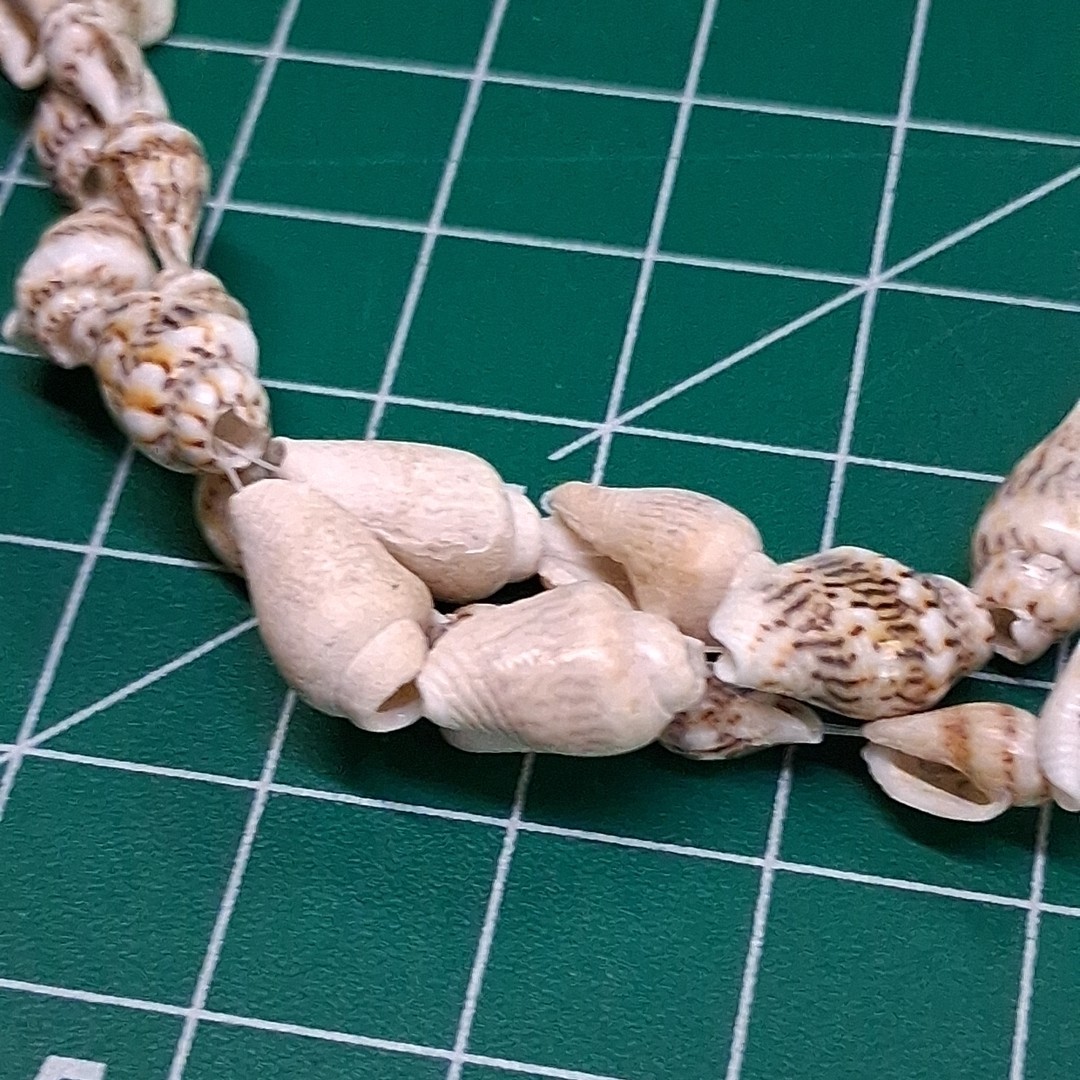 Vintage Brown Miniature Conch Sea Shell 34” Necklace