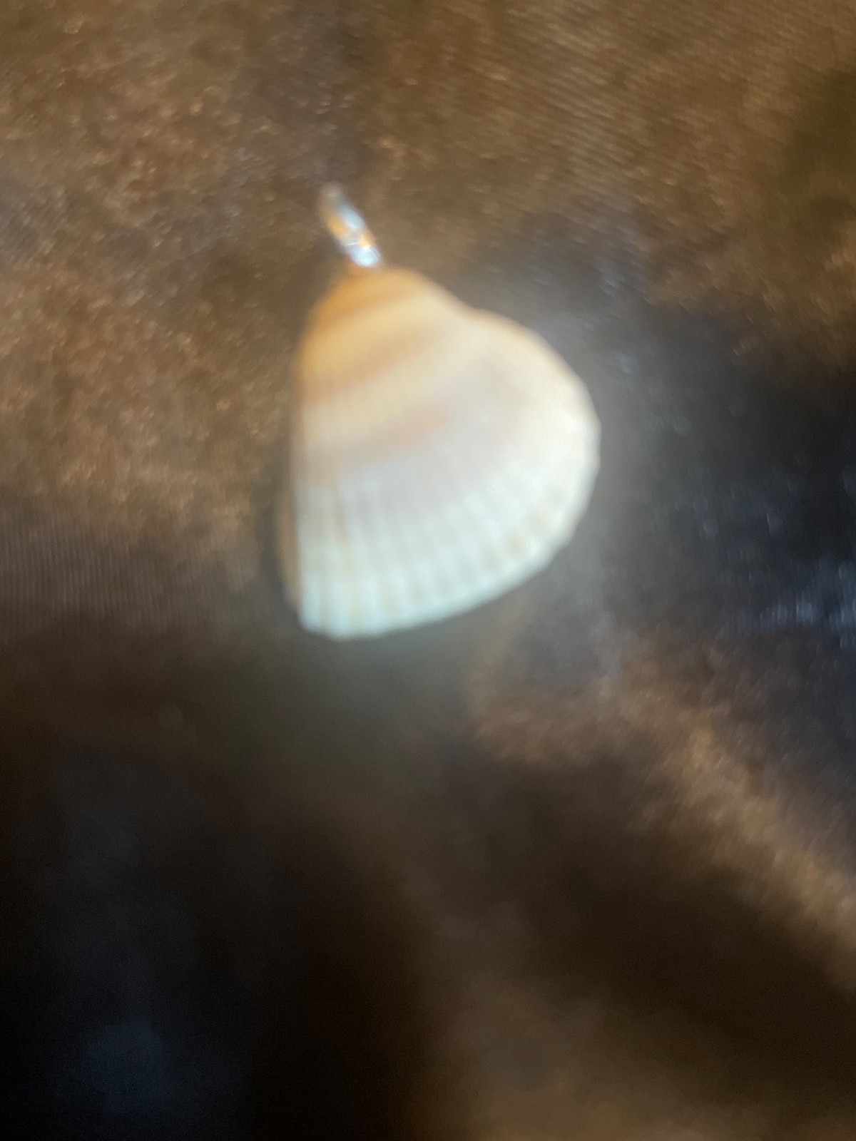 Cockle seashell pendant with Edison pearl and silver plated bail