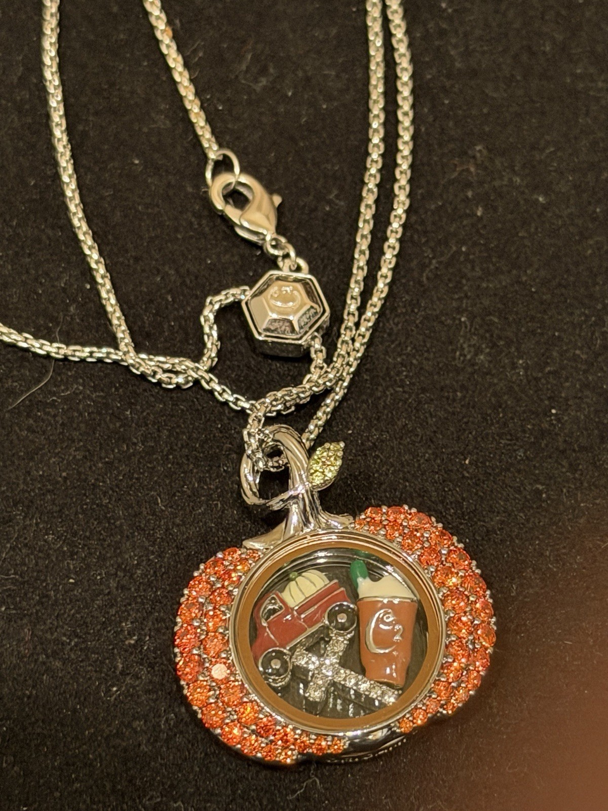 Origami Owl Pumpin Locket Set