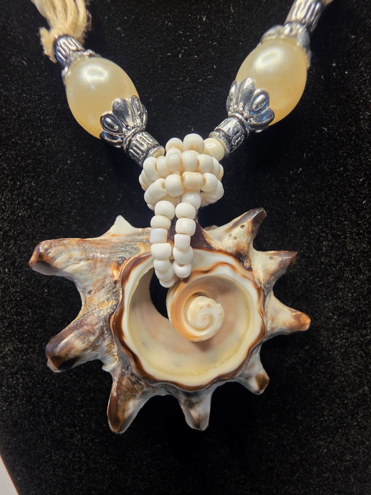 Conch Crown Shell Necklace