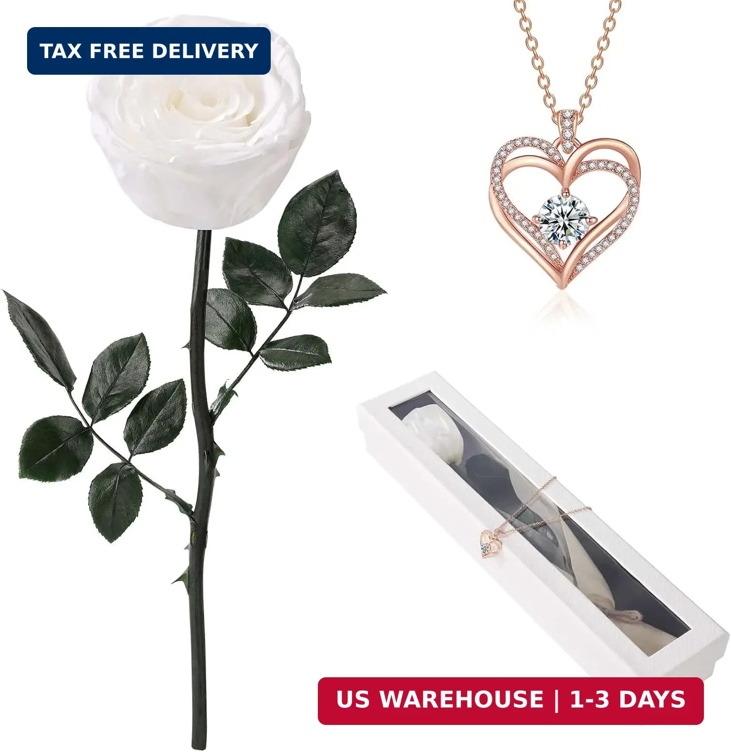 Single Preserved Rose with Necklace for Women,Real Roses Gift Set for Her,Mom Bi