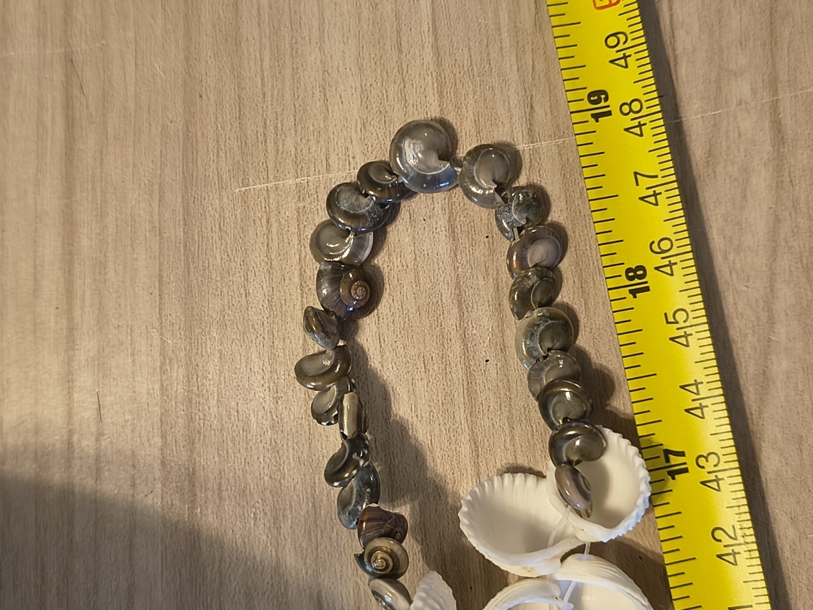 Seashell Long Necklace Great For Summer Fashion Or Anytime You Miss Summer Beach