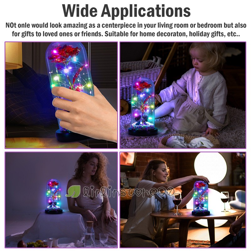 Enchanted Eternal Rose Flower In Glass Dome LED Light Valentine’s Day Gift +Box
