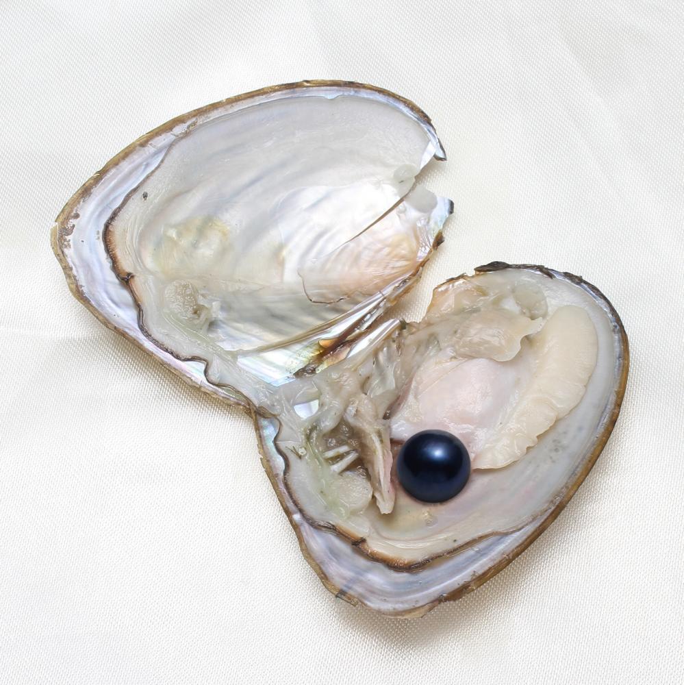 10Pcs 7-8mm Oysters Real Pearl Natural Pearl Freshwater Pearl Gift Party