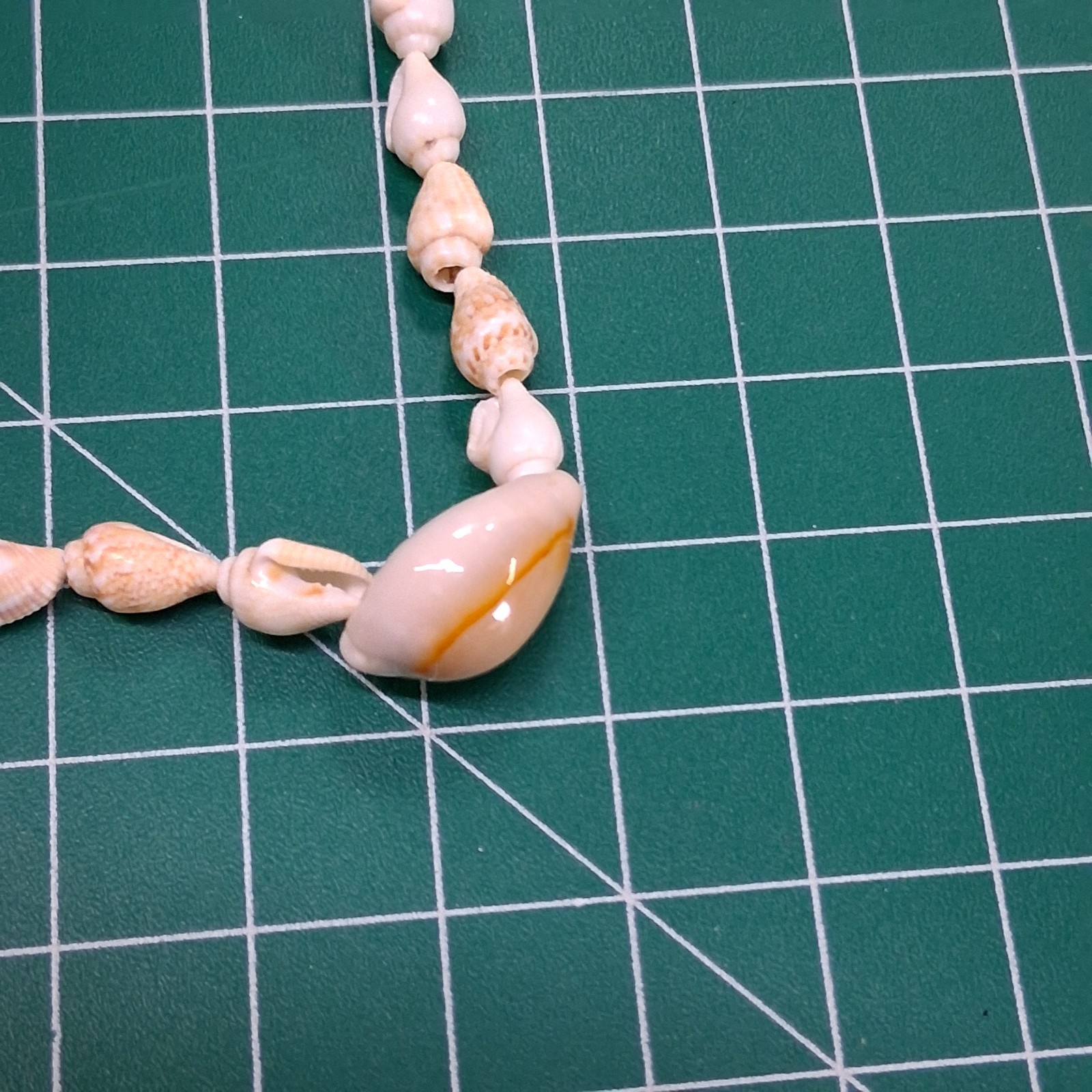 Vintage Small Conch & Glossy Tan Sea Shell 36” Necklace