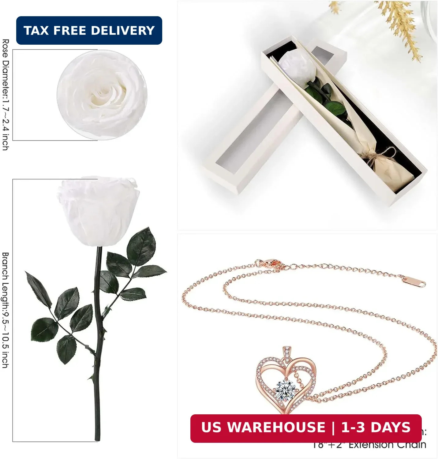 Single Preserved Rose with Necklace for Women,Real Roses Gift Set for Her,Mom Bi