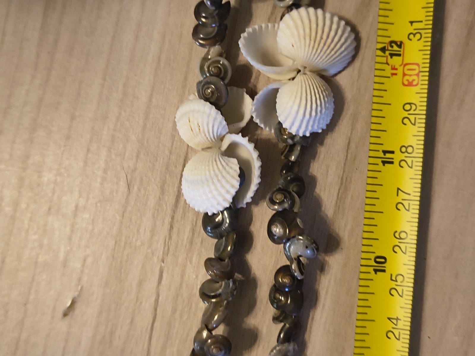 Seashell Long Necklace Great For Summer Fashion Or Anytime You Miss Summer Beach