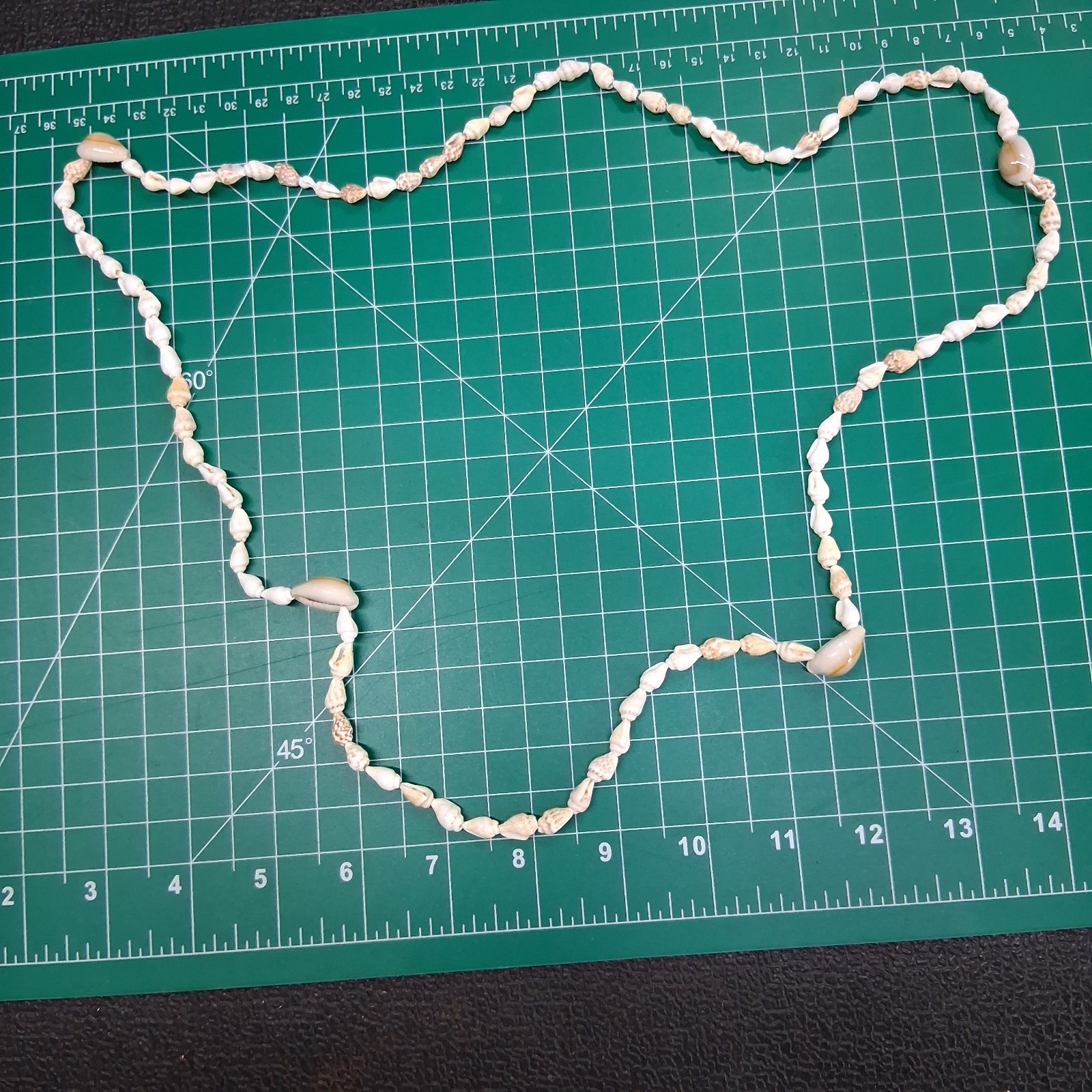 Vintage Small Conch & Glossy Tan Sea Shell 36” Necklace