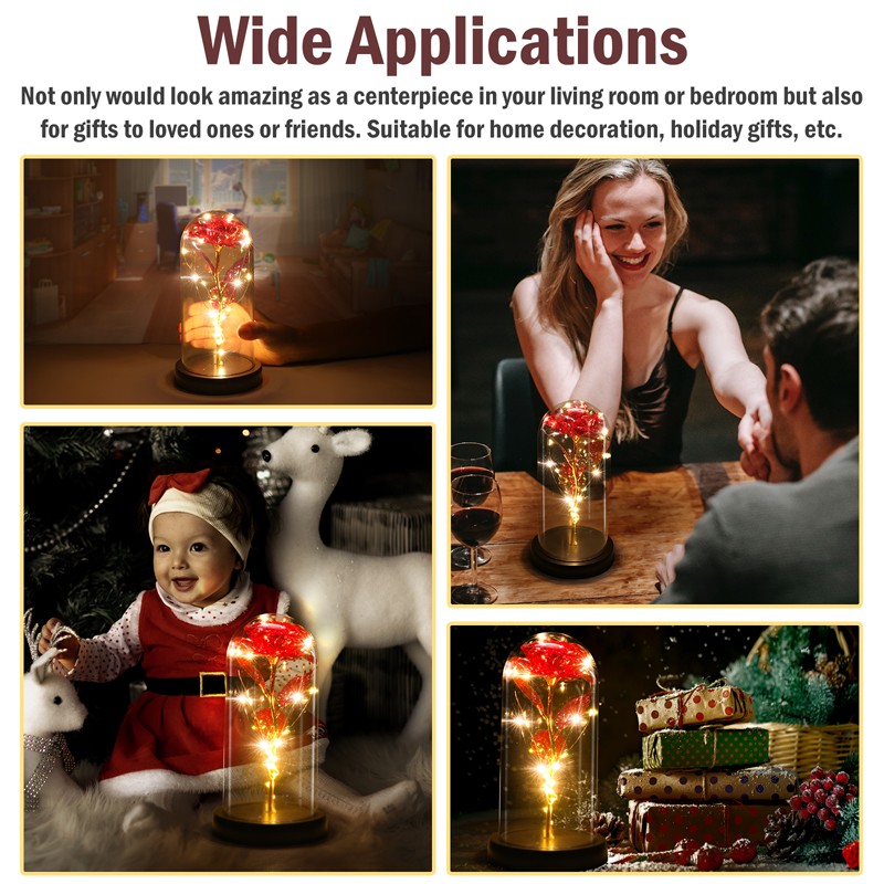 Enchanted Eternal Rose Flower In Glass Dome LED Light Valentine’s Day Gift +Box