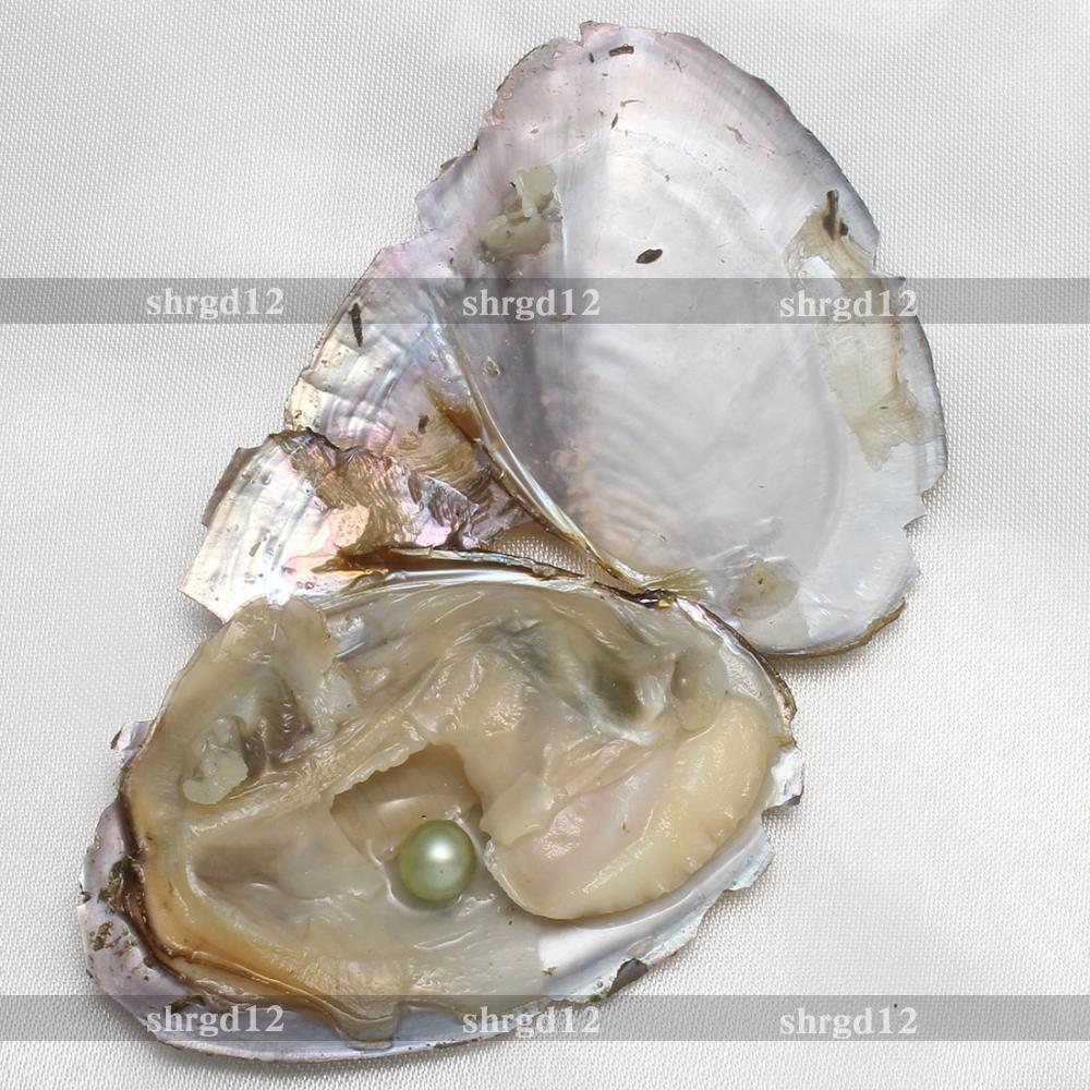 10pcs 7-8mm Natural Akoya Pearl Oysters Real Pearl Bulk Freshwater Pearl Gift US