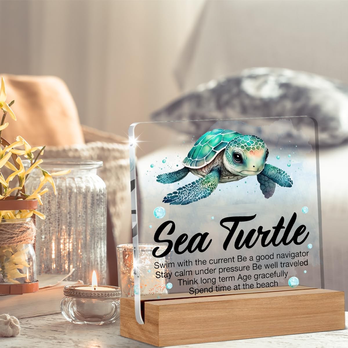 Inspirational Motivational Gifts – Turtle Gifts for Women Men – Sea Turtle Clear