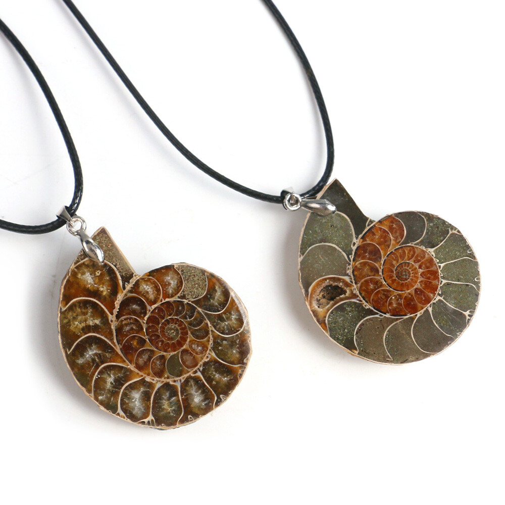 100% Natural Polished Ammonite Fossil Pendant Leather Choker Conch Necklace