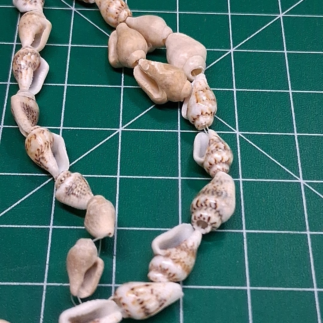 Vintage Brown Miniature Conch Sea Shell 34” Necklace