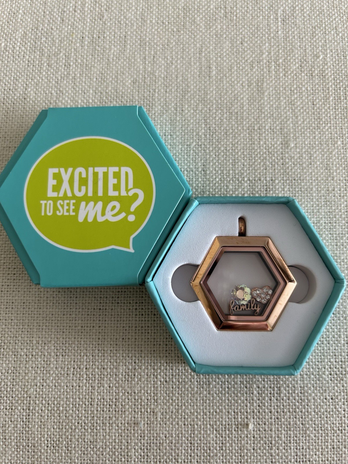 Origami Owl Medium Rose Gold Hexagon Hinge Closure Locket w/Charms “New in Box”