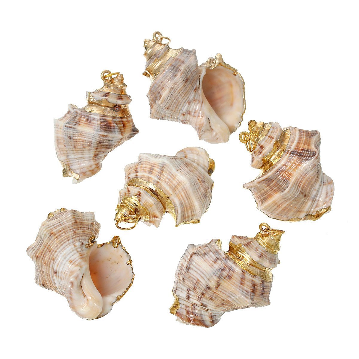 Sexy Sparkles 5 Pcs Natural Shell Shape Conch Sea Snail Charm Pendant 4.1cm x 3.