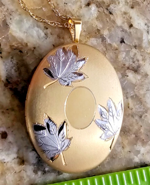 Princess Pride 14kt gf Satin finished Made in USA locket with 18in chain 2 photo