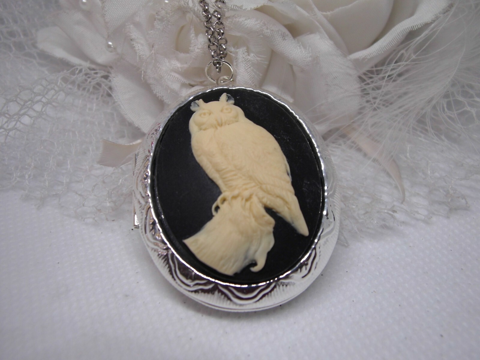 Horned Owl Barn Hoot Cameo PHOTO SILVER Necklace Locket PILL BOX Valentine’s Day