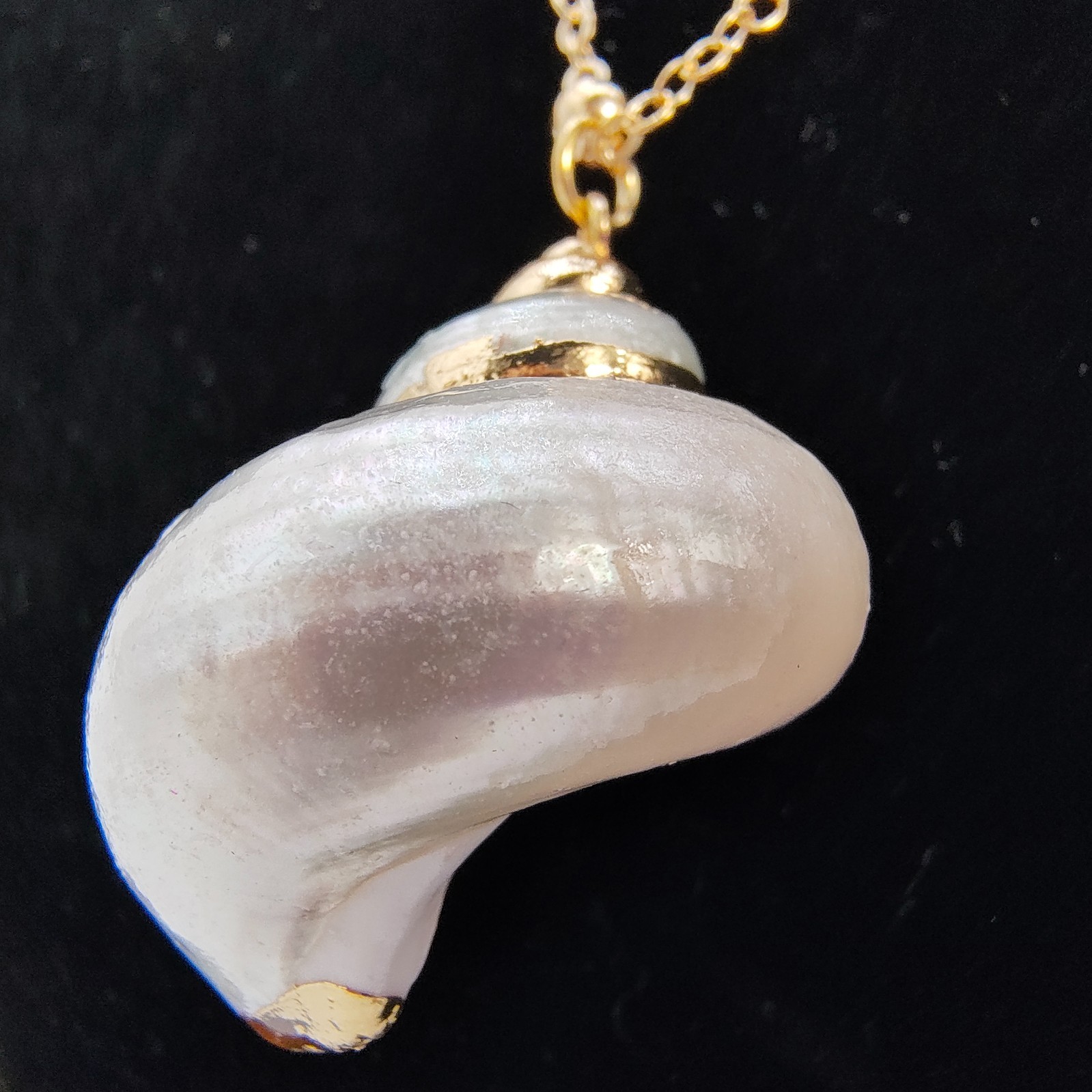 Natural Shell Pendant Necklace 18-20″ Iridescent Gold Tone Satellite Chain Beach