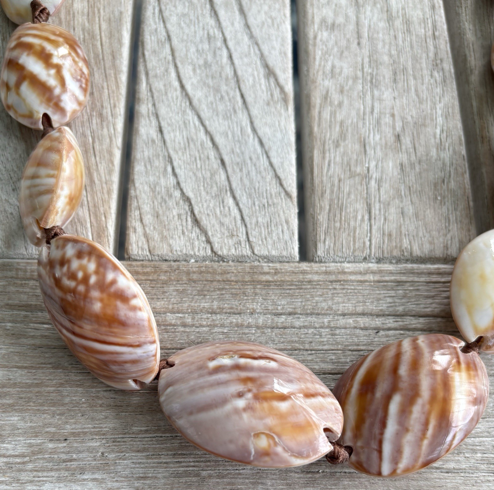 Brown White Natural Shell Beaded Necklace Beach Sea Cord Chain Adjustable Tie