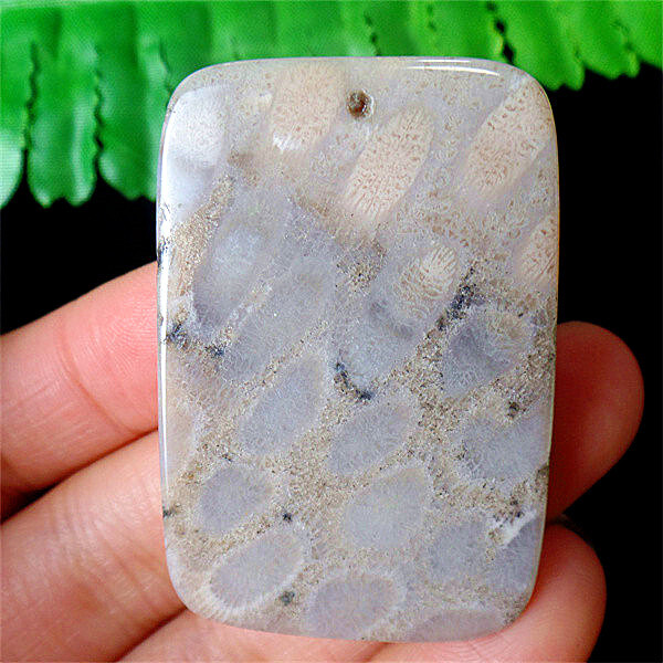 47x33x7mm Natural Africa Chrysanthemum Coral Oblong Pendant Bead EA88747