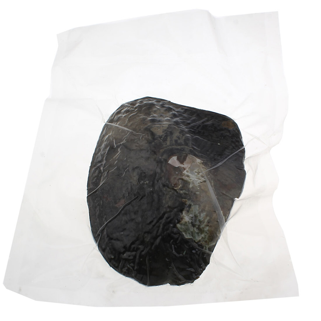 Big Natural Freshwater Cultured Pearl Oyster With 5-7mm 25 Pearls Vacuum Pack