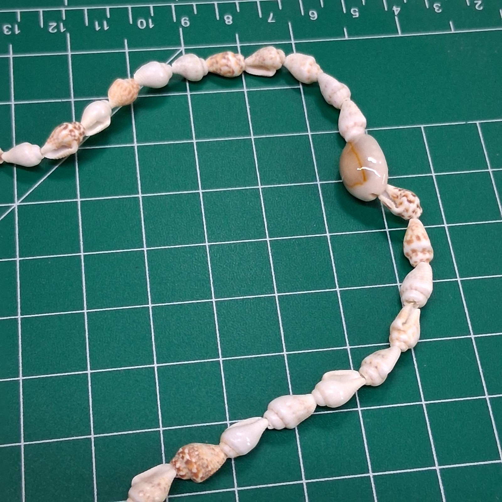 Vintage Small Conch & Glossy Tan Sea Shell 36” Necklace