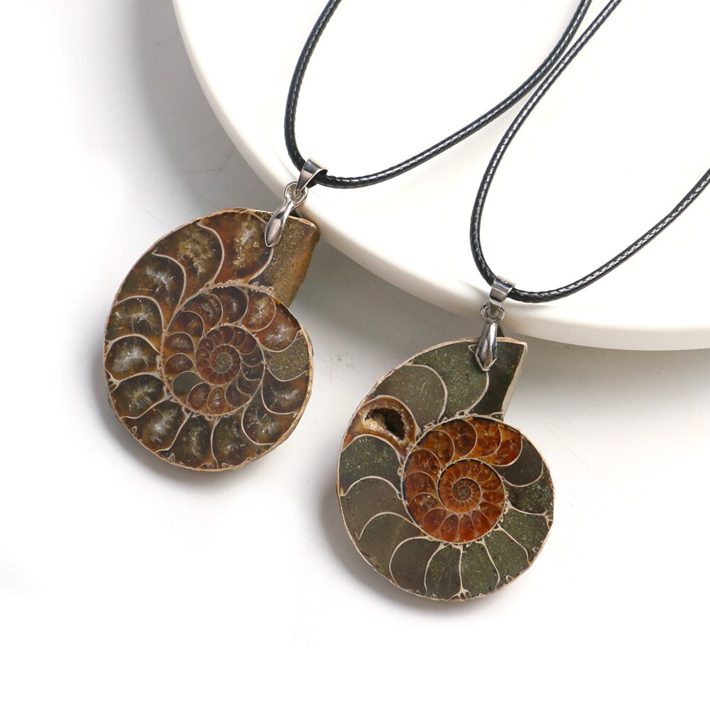 100% Natural Polished Ammonite Fossil Pendant Leather Choker Conch Necklace