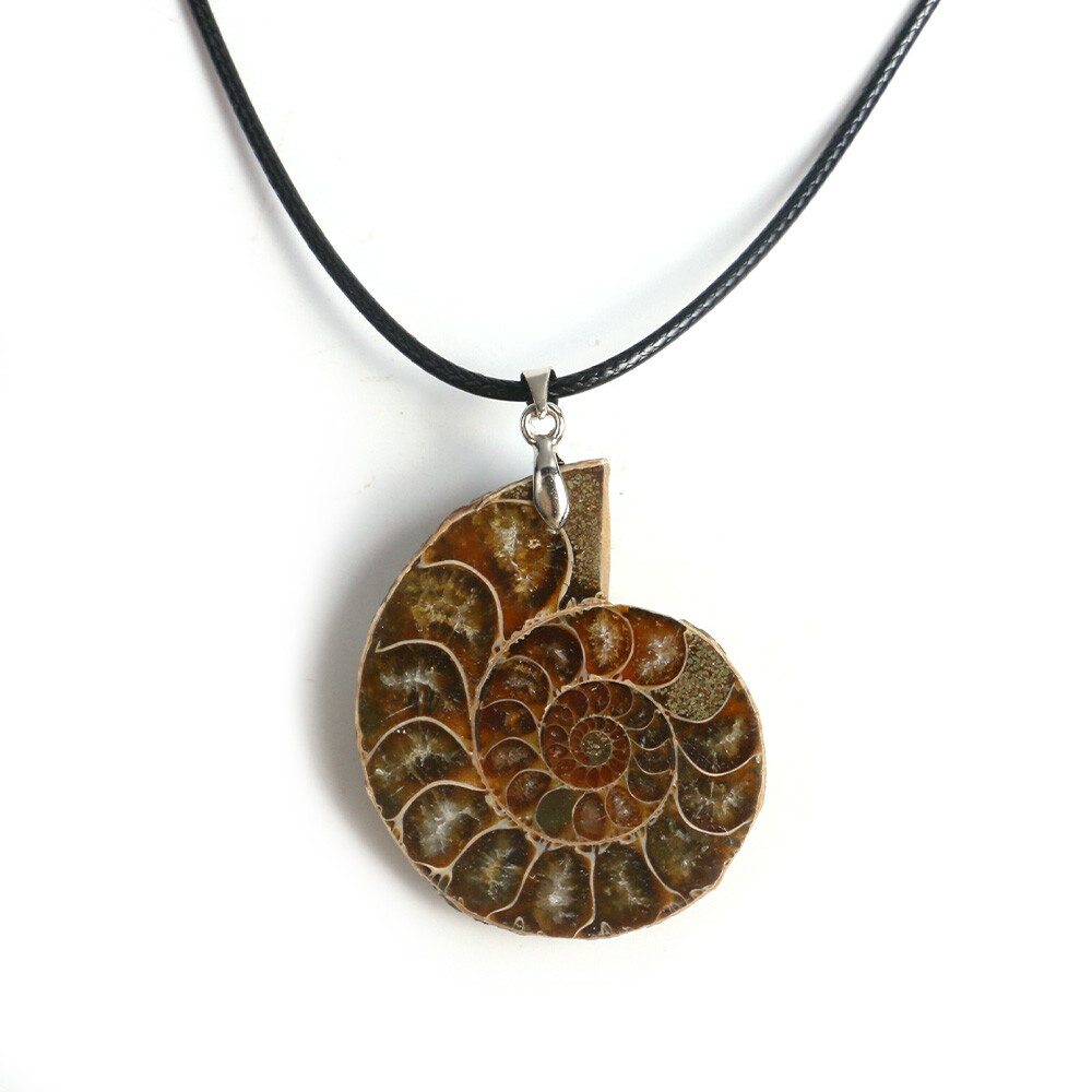 100% Natural Polished Ammonite Fossil Pendant Leather Choker Conch Necklace