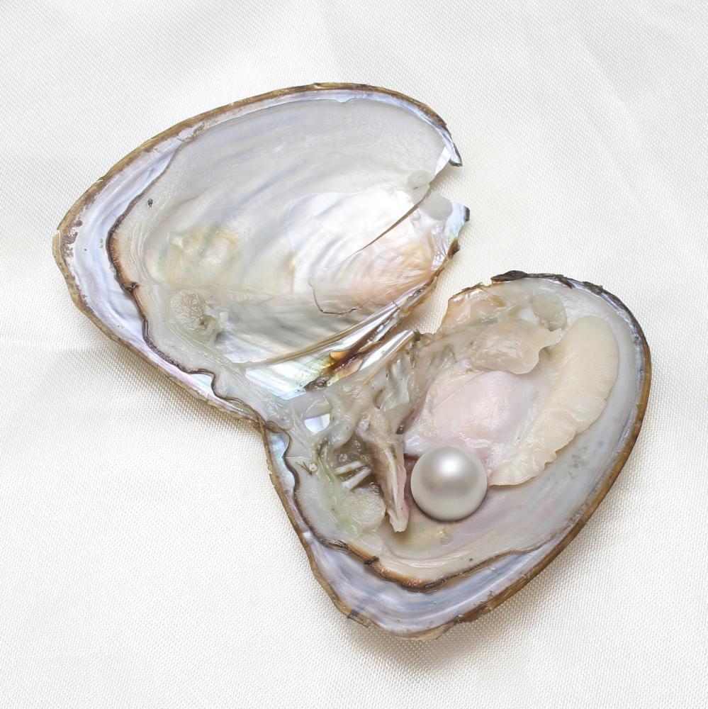 10Pcs 7-8mm Oysters Real Pearl Natural Pearl Freshwater Pearl Gift Party
