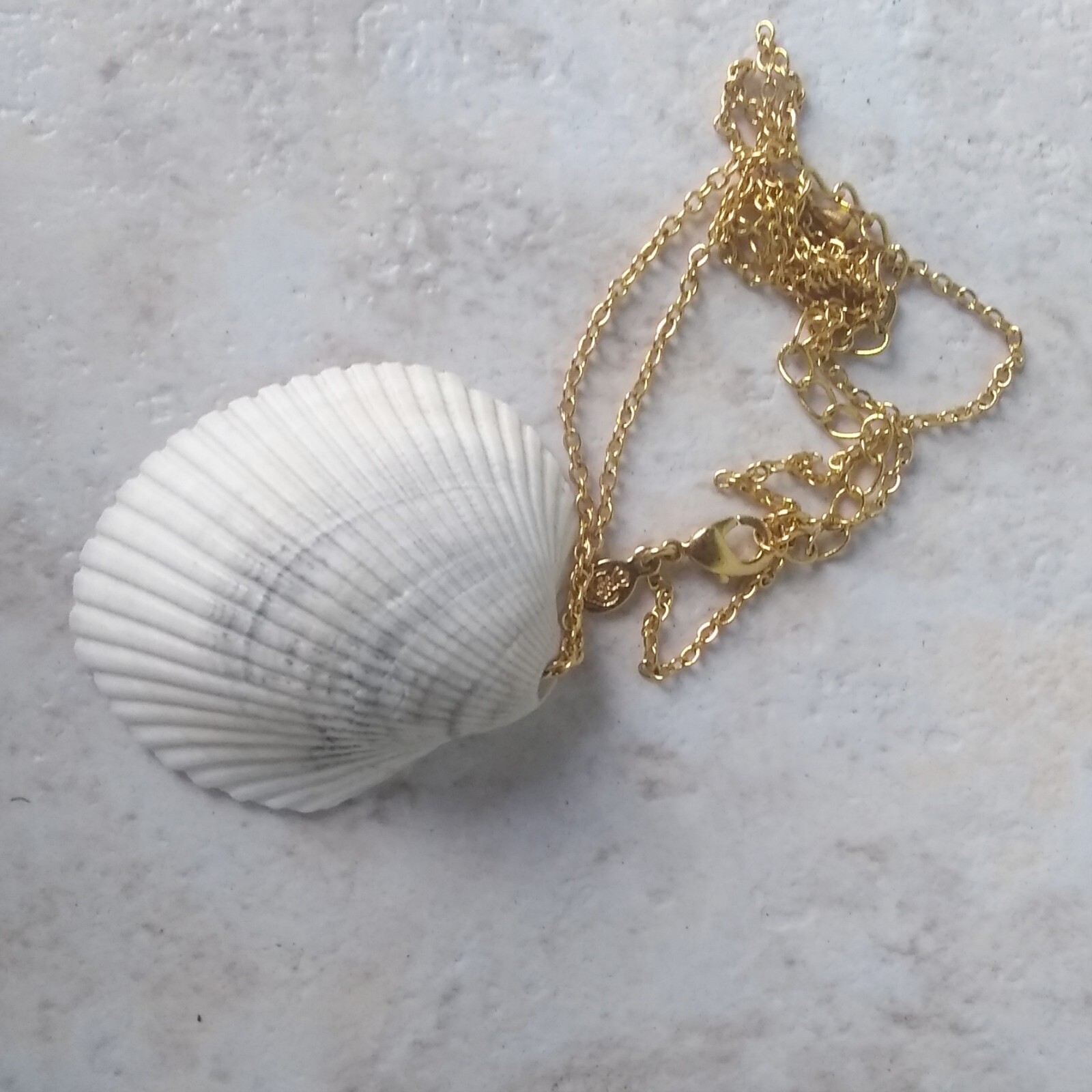 Seashell pendant embellished by Pat2 glass pearl cameo 16 in chain