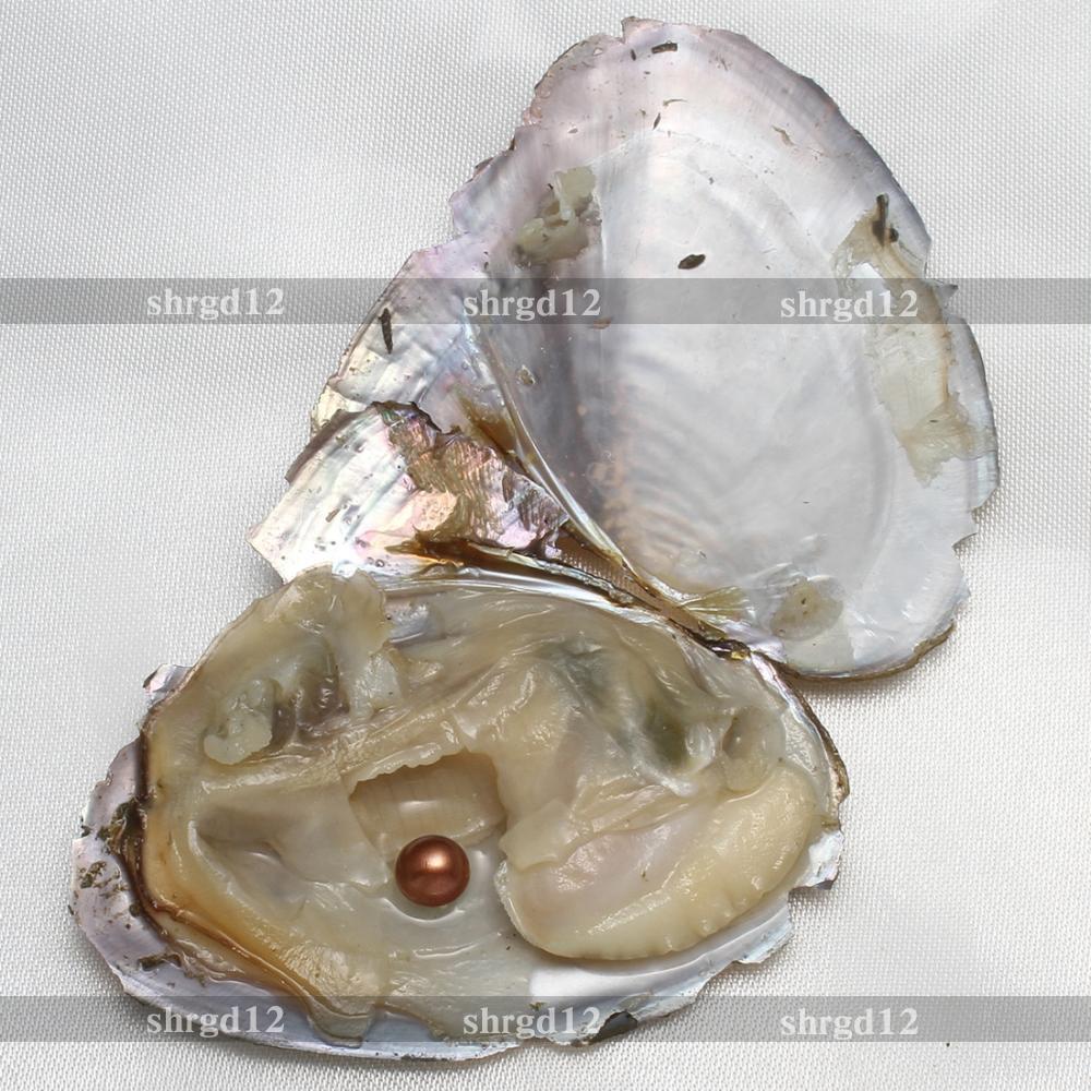 10pcs 7-8mm Natural Akoya Pearl Oysters Real Pearl Bulk Freshwater Pearl Gift US