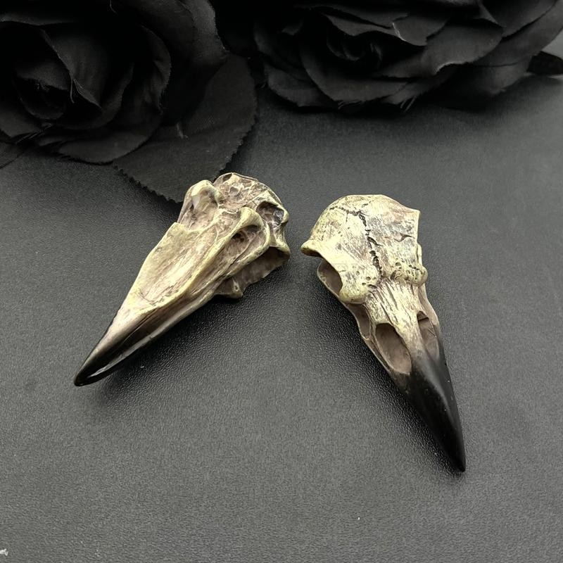 2pcs 3D Crow Skull Pendant Necklace Magpie Gothic Men’s Halloween Jewelry Gift