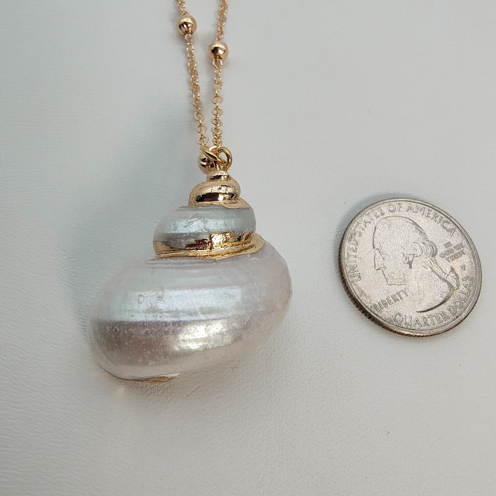 Natural Shell Pendant Necklace 18-20″ Iridescent Gold Tone Satellite Chain Beach