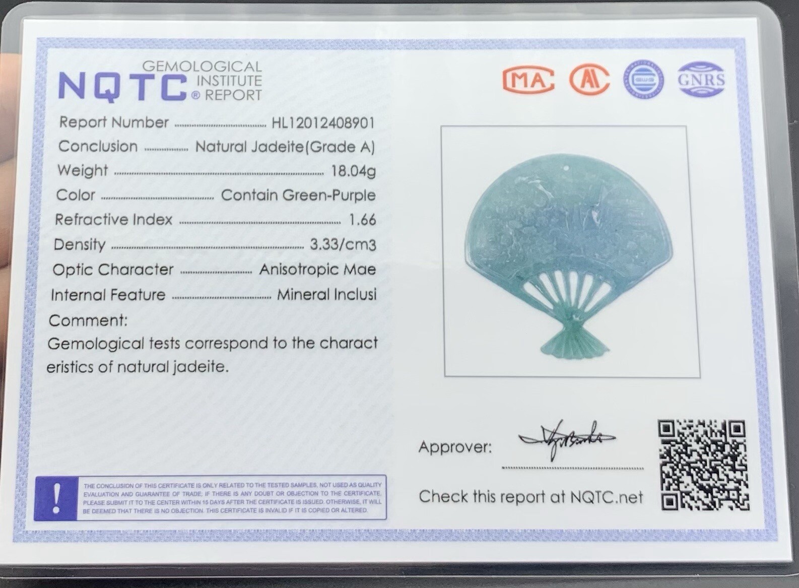 Video Certified Green Natural A Jade jadeite Pendant Tree House Fan 418969 TS