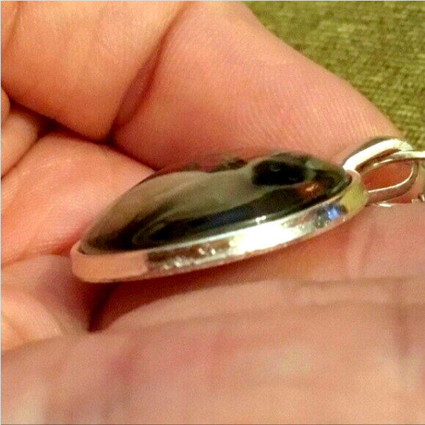 Custom Pendant GAY RIGHTS PRIDE LGBT ALLY CAT 925 Silver 24″ Necklace Gold Gift