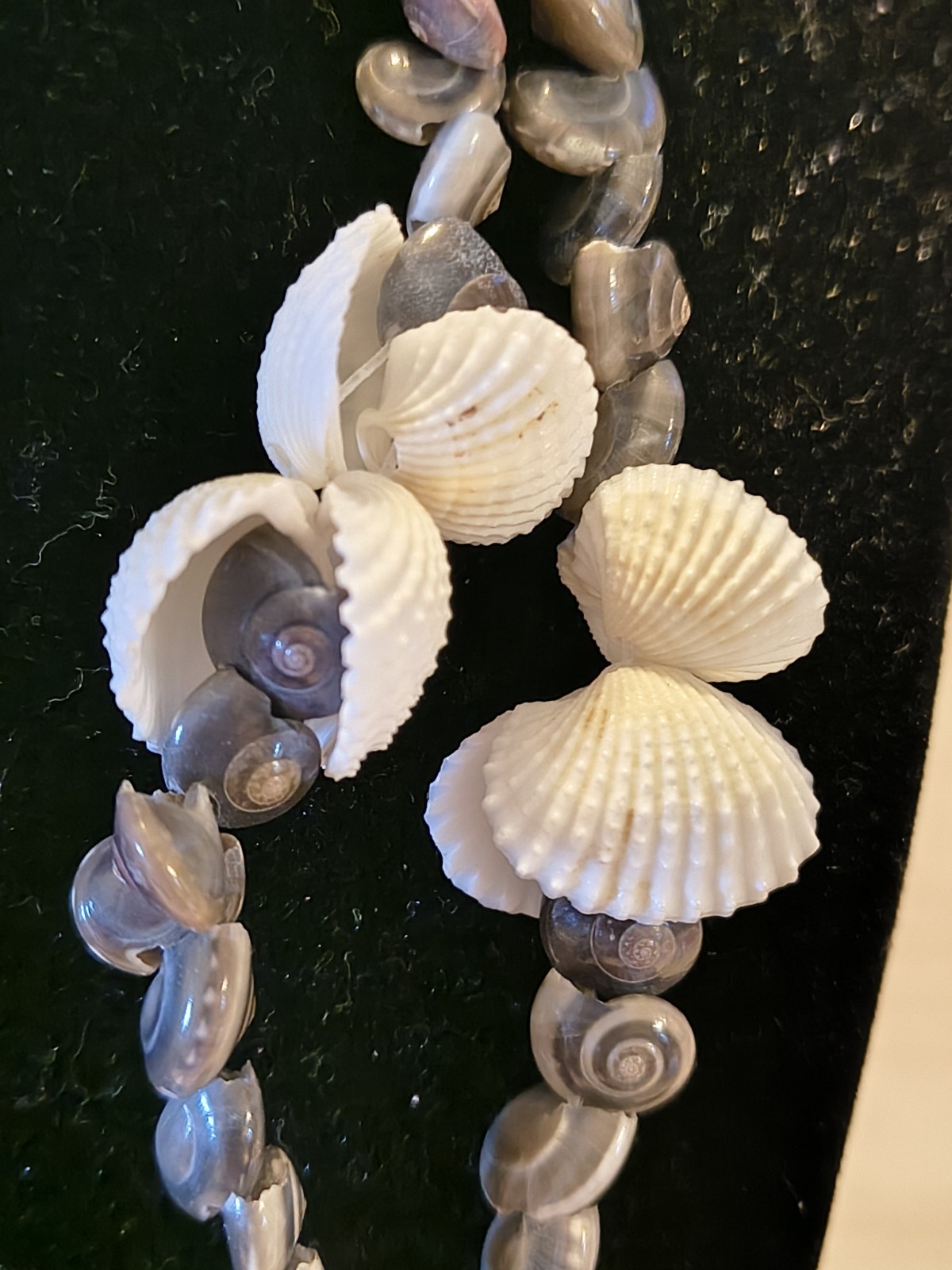 Seashell Long Necklace Great For Summer Fashion Or Anytime You Miss Summer Beach