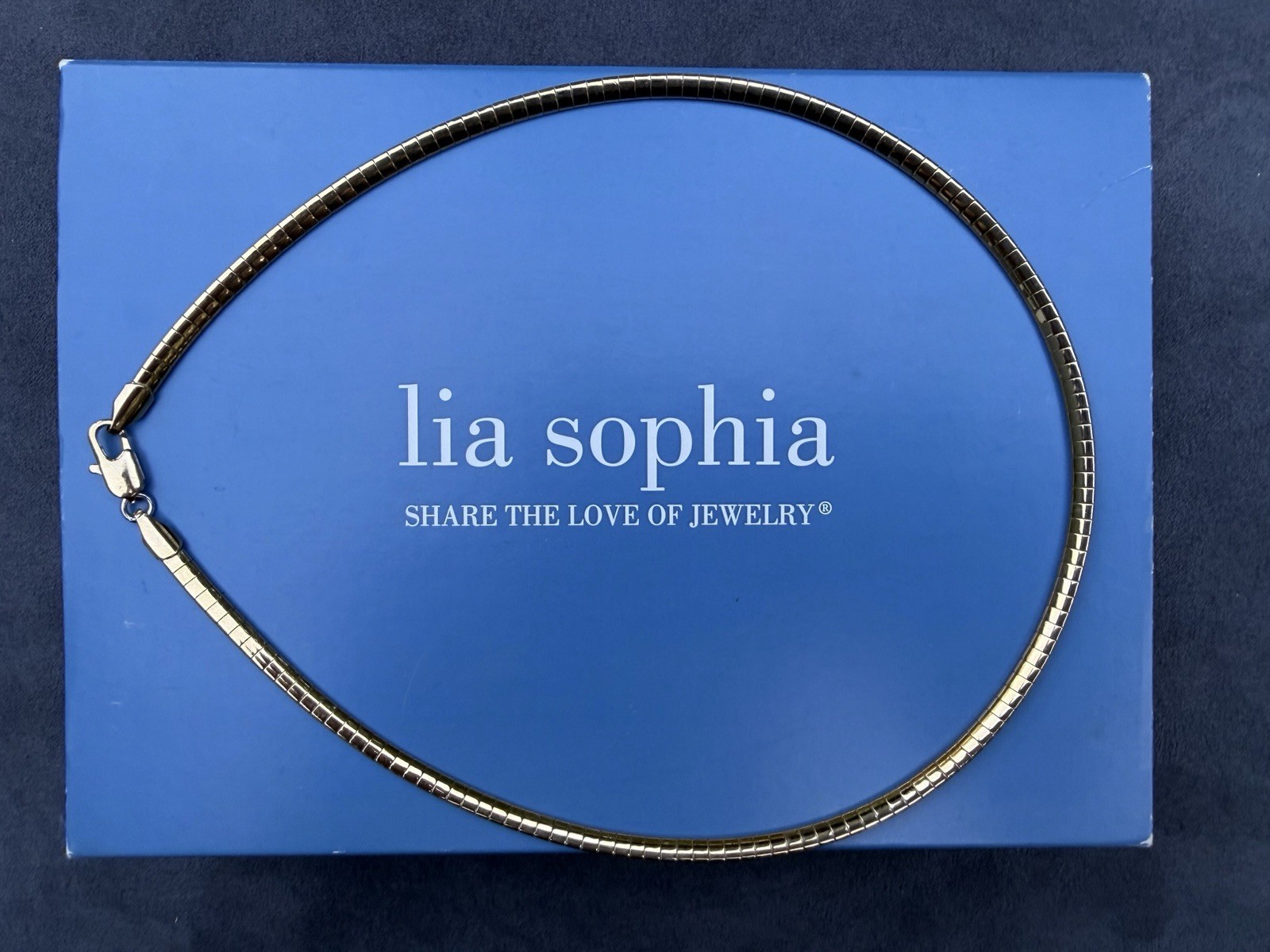 Lia Sophia Silver & Gold Tone Reversible Snake Chain Necklace, Lobster Clasp