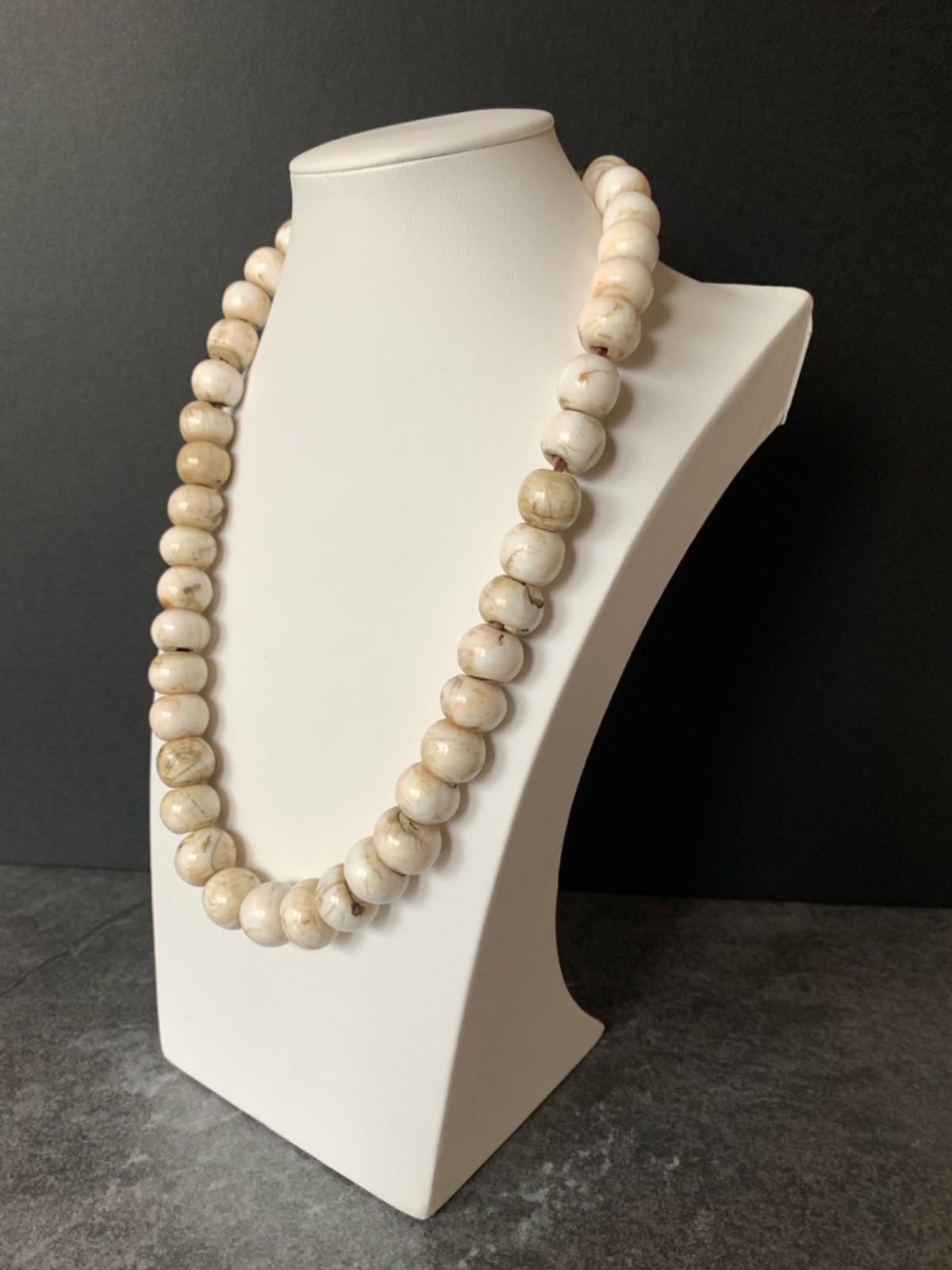Rare Naga Conch Shell Necklace 16-21mm, 26″ length Necklace 26