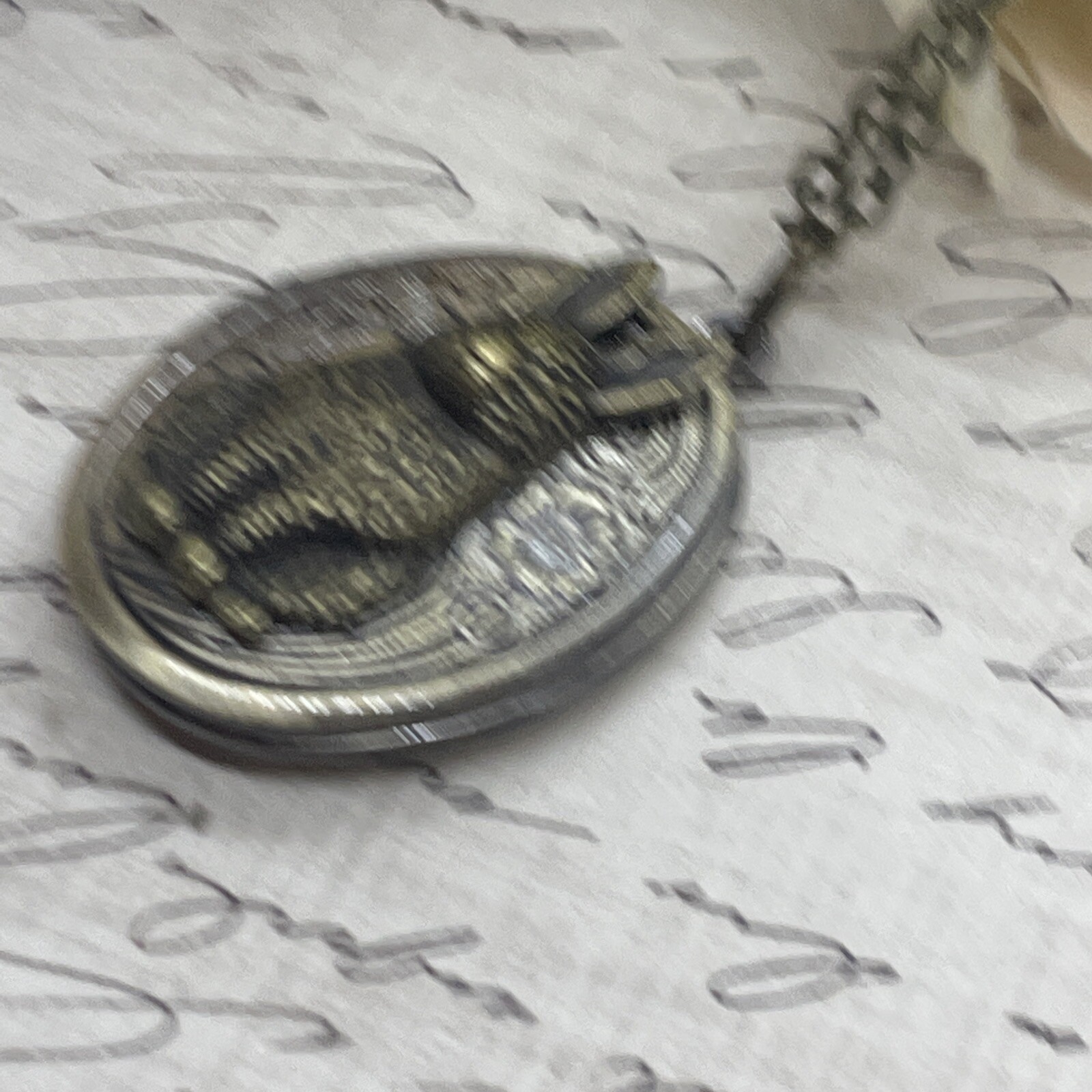 BUNNY RABBIT Locket Necklace JEWELRY Pendant PHOTO bronze Picture Birthday Gift