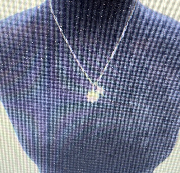 Jennifer Miller Jewelry Starburst 18” Long Necklace 14K CZ Stone New Retail $195