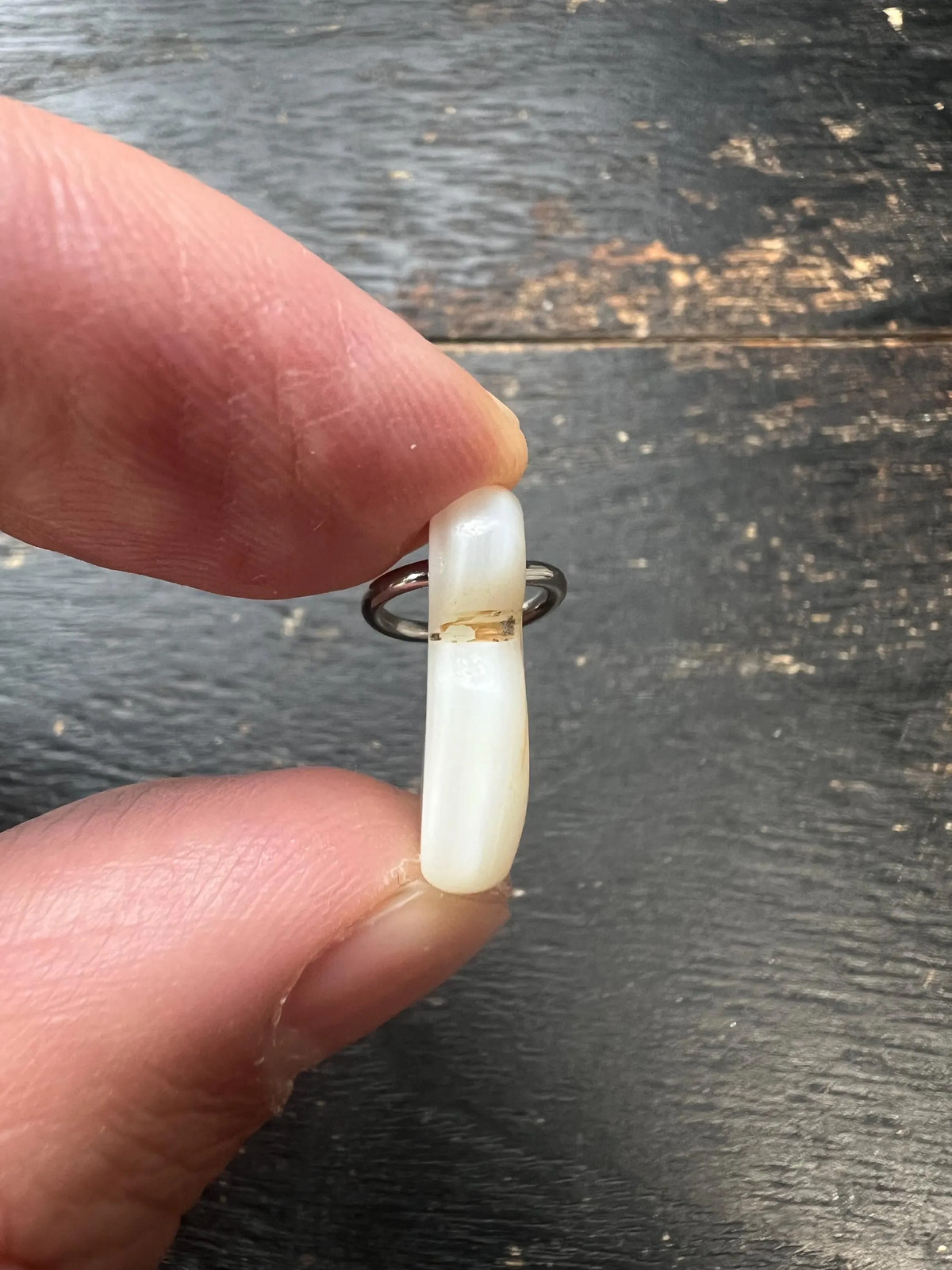 Handcrafted Tibetan Conch Shell Amulet Pendant, Carved Seed Syllable ‘ha’ Symbo