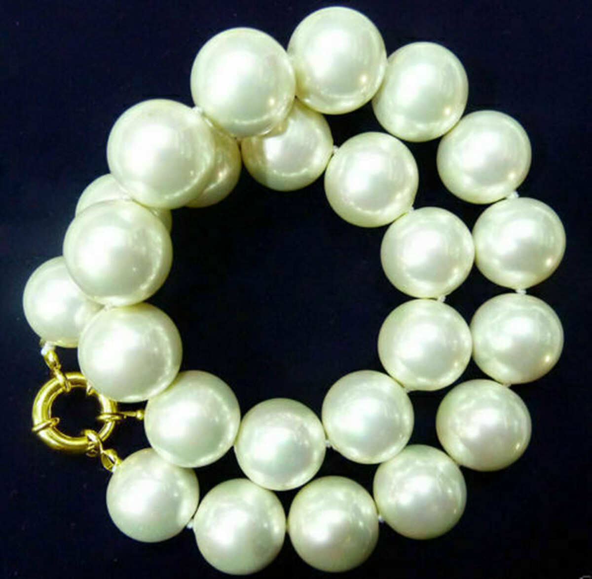 Huge 20mm White 100% Real South Sea Shell Pearl Necklace 18-36” AAA