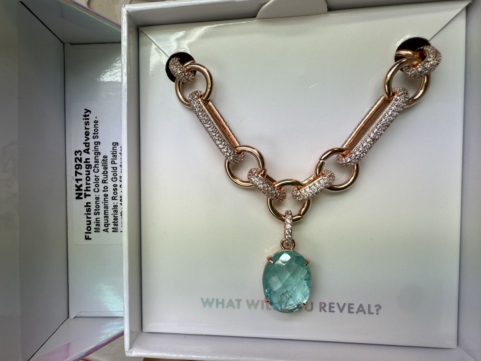 Bomb Party Mental Health Collection Necklace Flourish Through Adversity RG