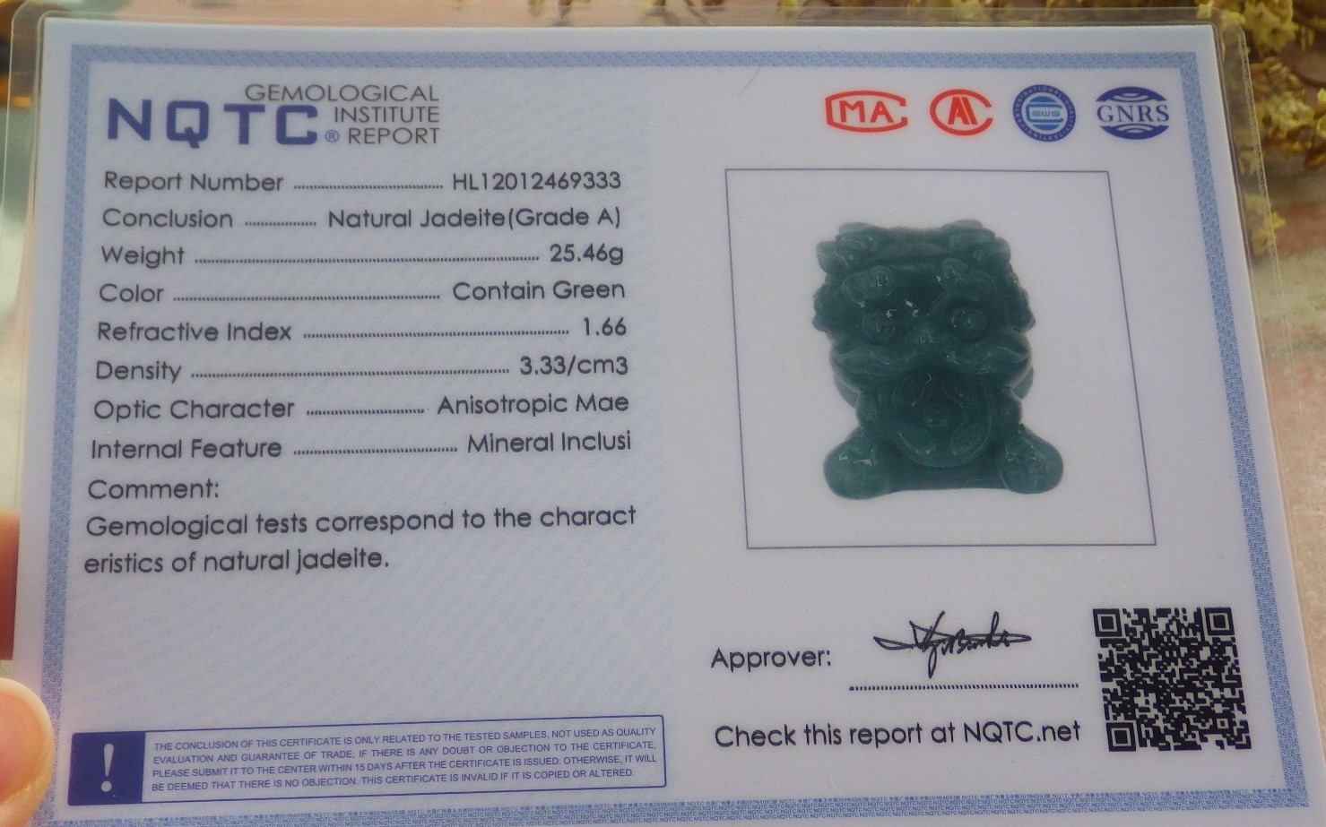 Video Certified Natural A Jade jadeite Pendant Cartoon Dragon Coin 龙 130107 VS