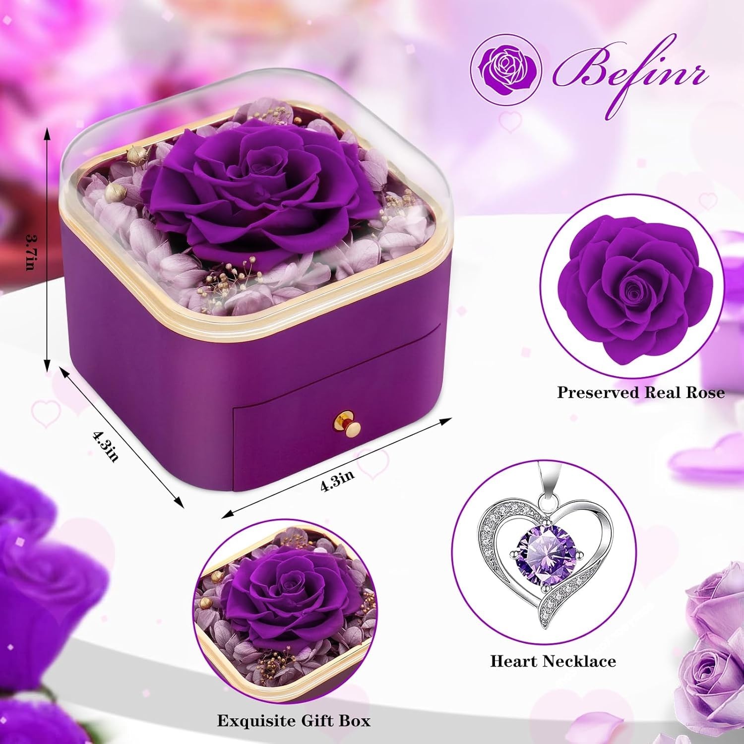 Preserved Real Purple Rose w/ Necklace – Eternal Valentine Birthday Gift for Her