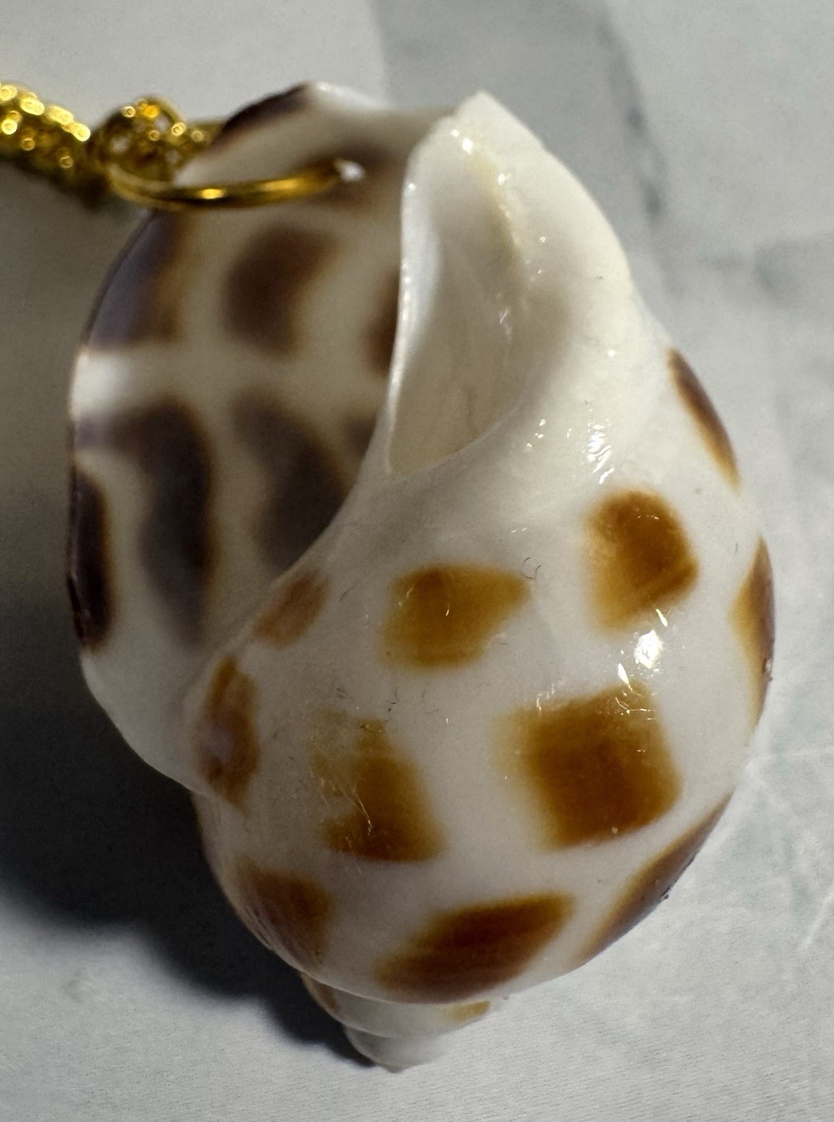 Natural Brown & White Conch Shell Pendant On Golden Chain Made By 927 Designs